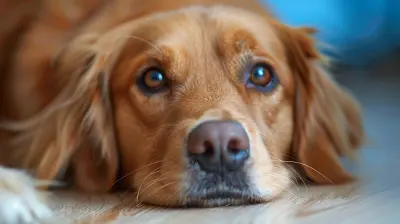 The Role of Pets in Improving Mental Health for Mood Disorder Sufferers