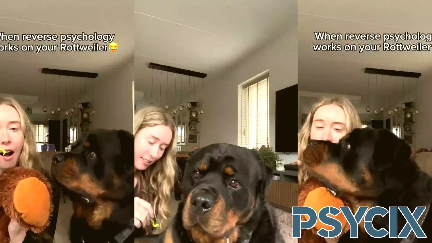 Clever Owner Outsmarts Rottweiler with Reverse Psychology