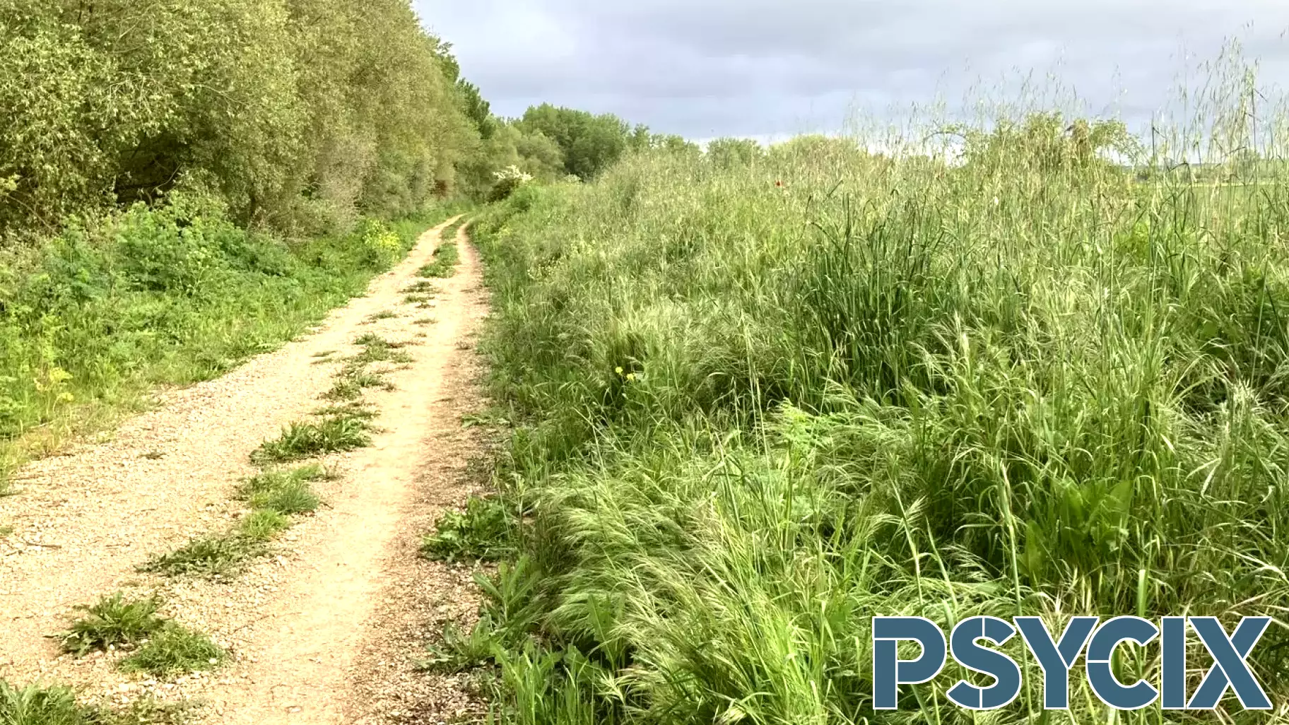 Discover the Mental Health Benefits of Walking the Camino de Santiago
