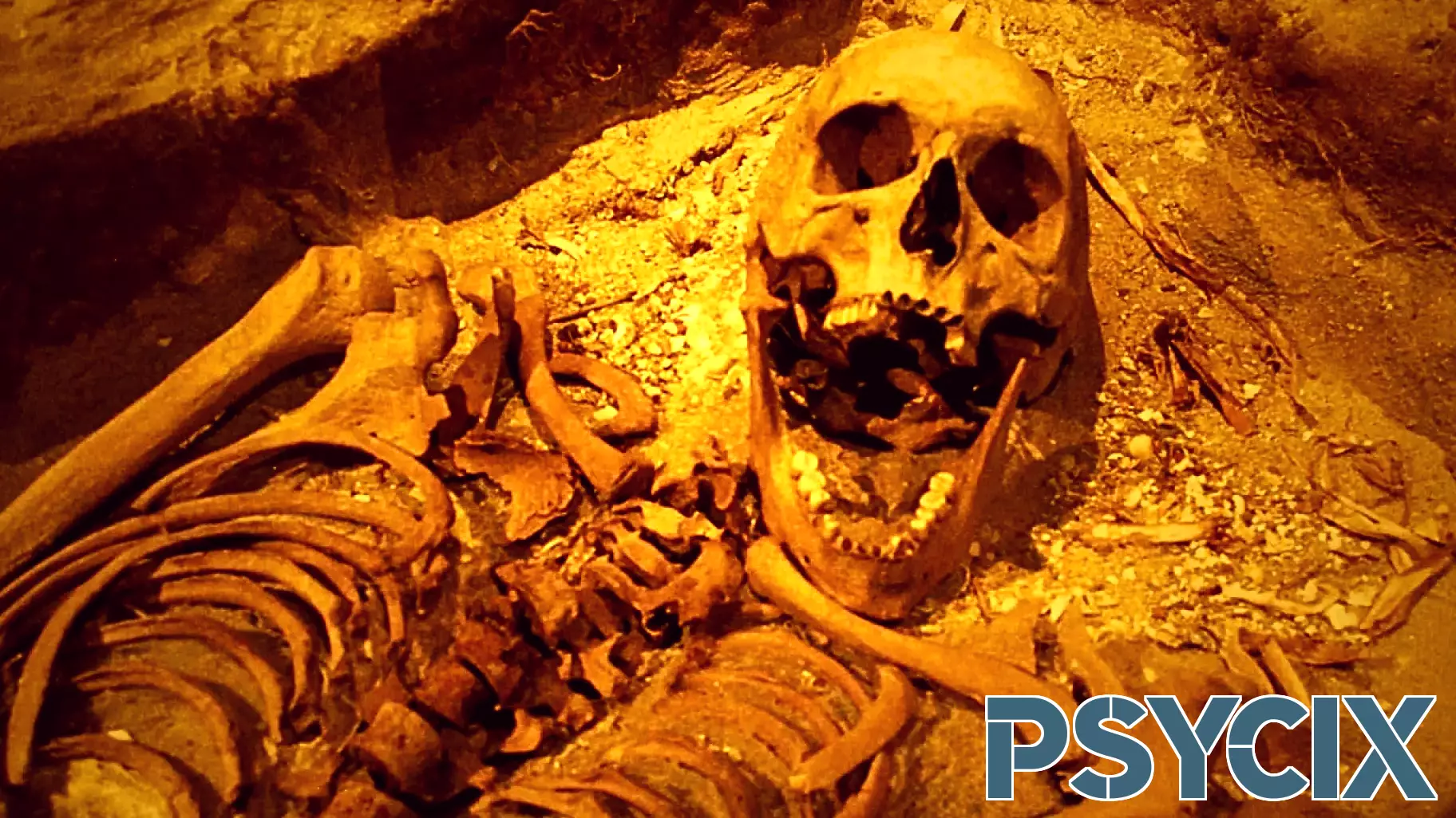 The First Corporate Psychopath Was a 17th Century Dutch Mutineer