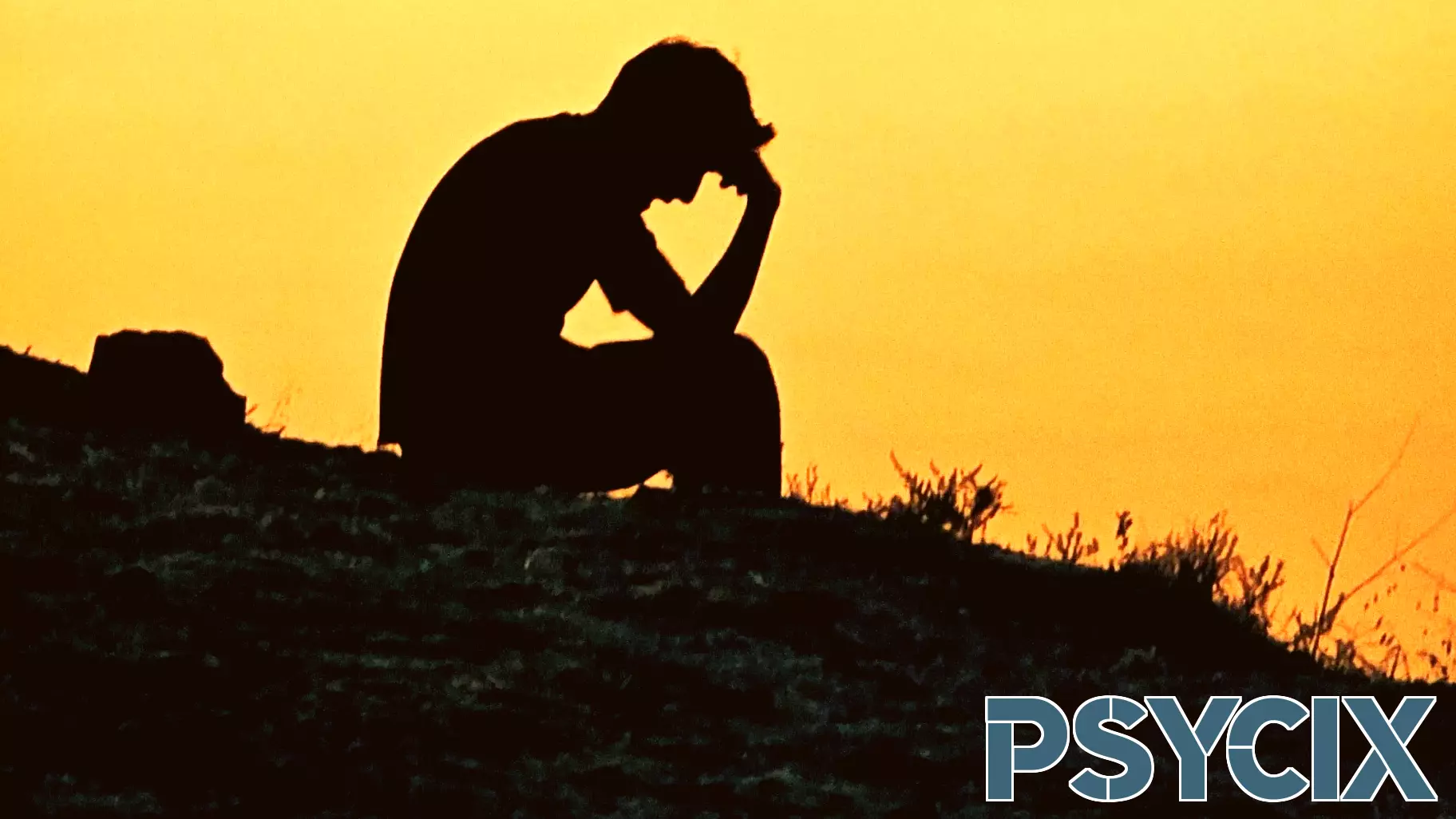 Understanding Ambivalence: A Marin Resident's Insight