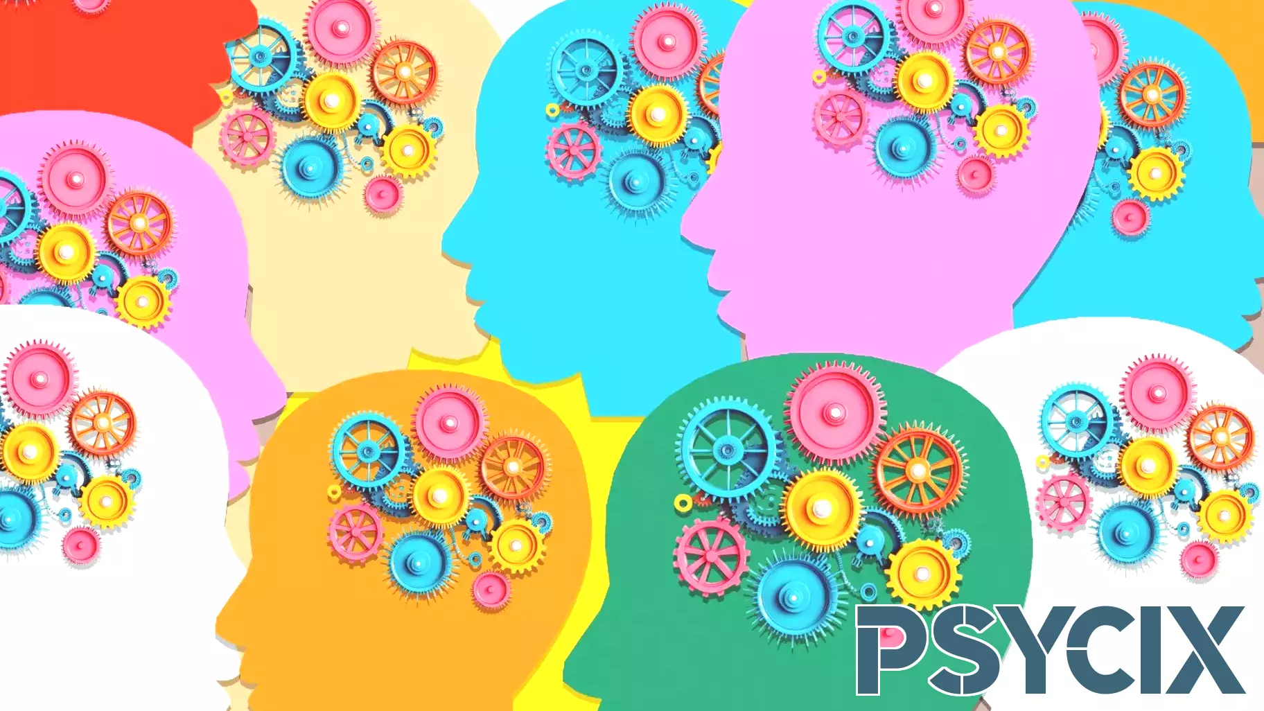 Understanding the Political Mindset