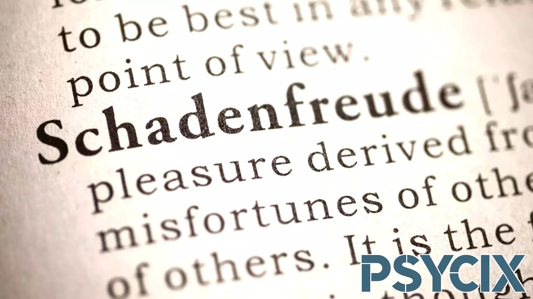 Understanding the Sweetness of Others' Misfortunes