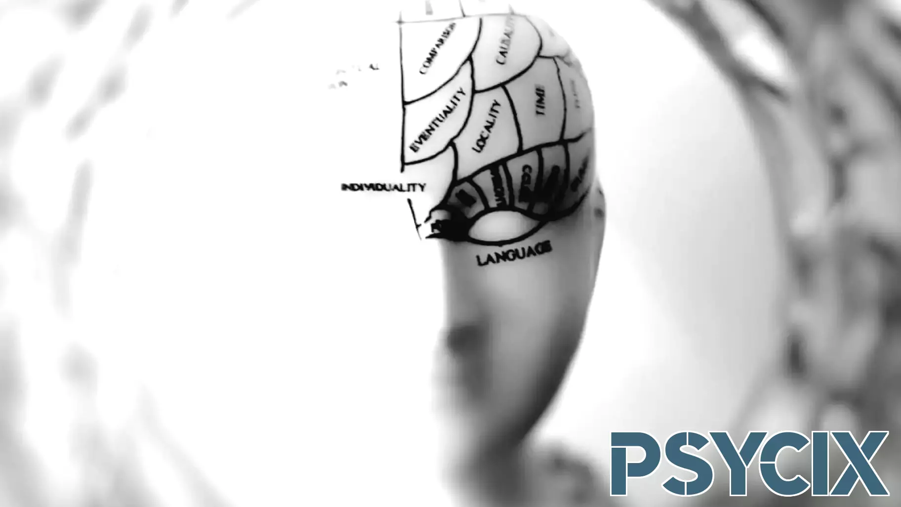 Unveiling the Brain's 