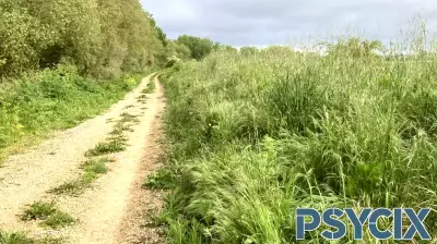 Discover the Mental Health Benefits of Walking the Camino de Santiago