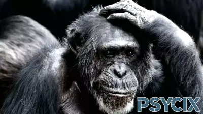 Embracing Animal Sentience: A Call for Unity