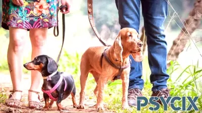 Enhancing Therapy Through Conversations About Pets