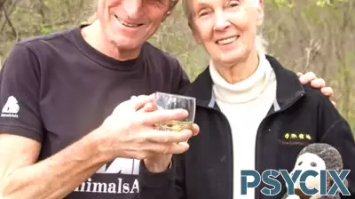 Honoring the Impact of Dr. Jane Goodall: A Lifelong Commitment to Conservation