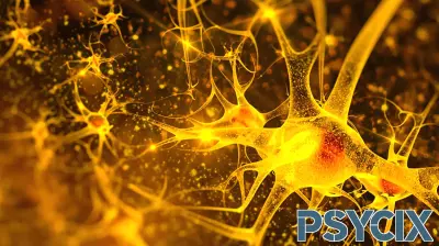 Ketamine Shows Potential for Enhancing Cognitive Function