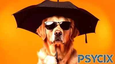 Navigating the Turbulence of Uncertainty