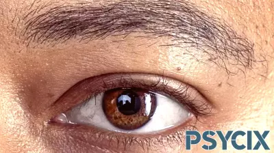 The Emotional Journey of Photo Collecting