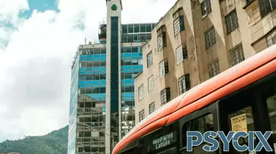 Understanding the Roots of Violence: A Deeper Look